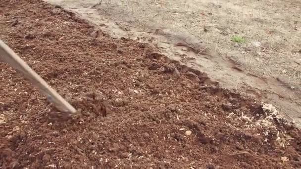 A metal hoe gently loosens a bed of compost for planting close-up. — Stock Video