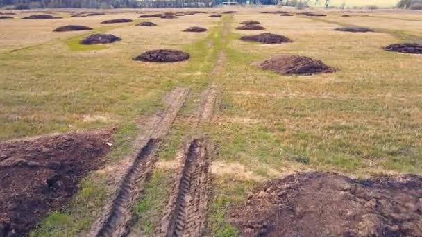 Cumuli rotondi di letame in un campo agricolo. — Video Stock