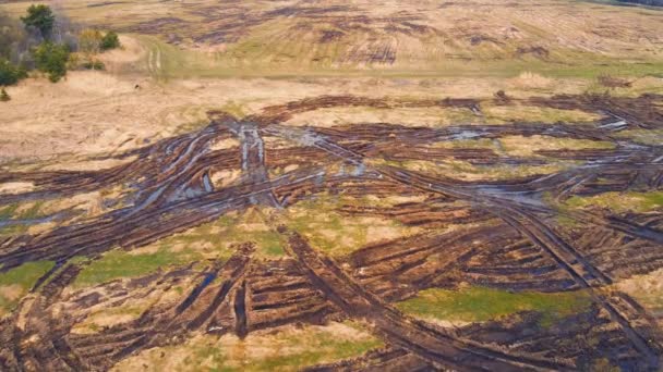 Survoler des tas éparpillés de fumier dans un champ agricole. — Video