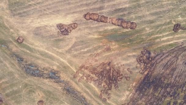 Circulando sobre pilhas dispersas de estrume em um campo de fazenda. — Vídeo de Stock