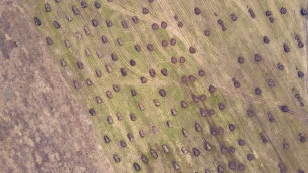 Aerial view of heaps of manure spread across a farm field in rows. — Stockvideo