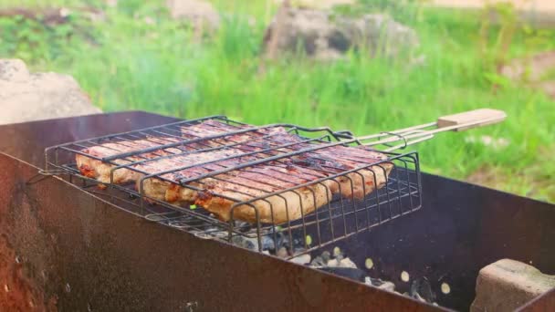 Grote stukken gegrild vlees op de grill, rook komt uit de kolen. — Stockvideo