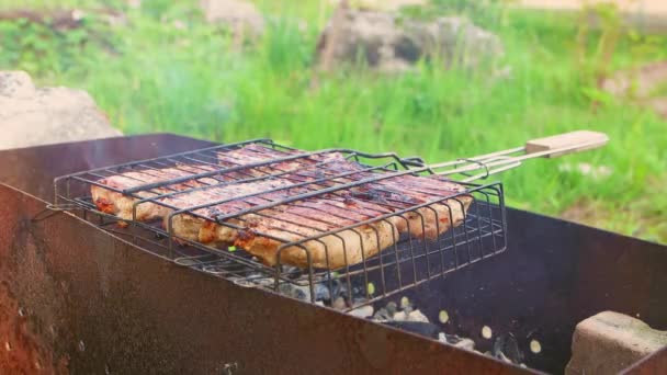 Grandes trozos de carne asada en la parrilla, el humo emana de las brasas. — Vídeo de stock