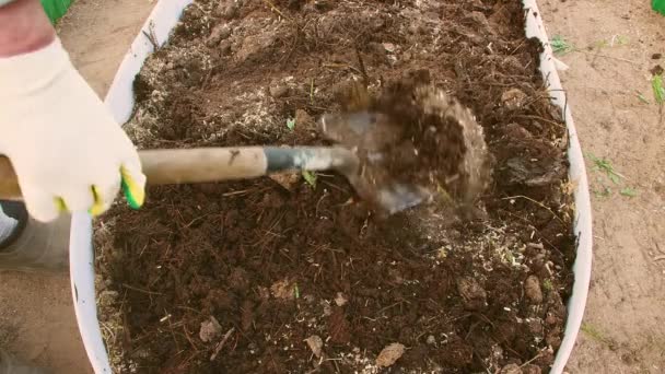 En man skyfflar kompost i ett växthus med en spade närbild. — Stockvideo