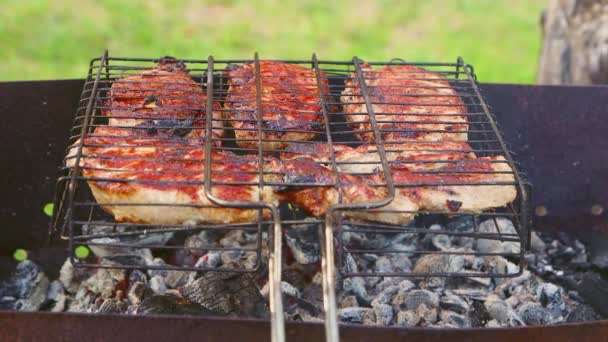 Cortes apetitosos de carne grelhada na grelha, a fumaça emana das brasas. — Vídeo de Stock