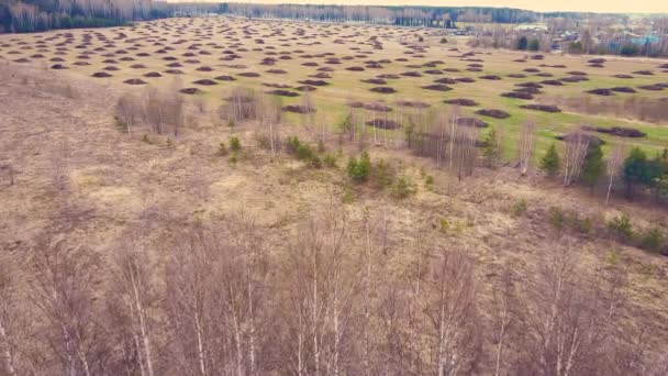 Montones de estiércol en un campo agrícola para siembra y plantación, — Vídeos de Stock