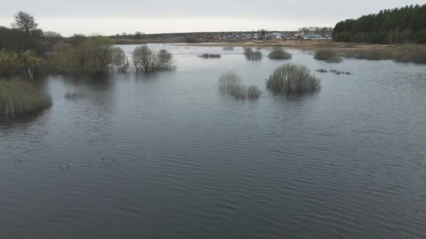 Inundación primaveral, vista de aves, arbustos en el agua en la distancia, pueblo. — Vídeo de stock