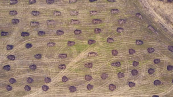 Flygfoto över gödselhögar som ligger i jämna rader på fältet. — Stockvideo
