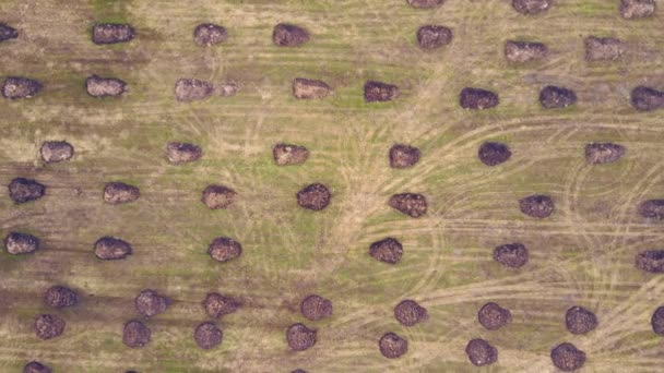 Aerial view of a pile of manure scattered across a farm field. — Stock Video