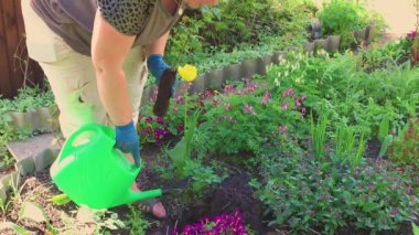 Bir kadın bir deliğe su döker ve genç bir gül çalısı diker..