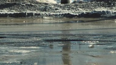 Çukur ve su birikintileri olan bozuk bir yola yakın çekim..