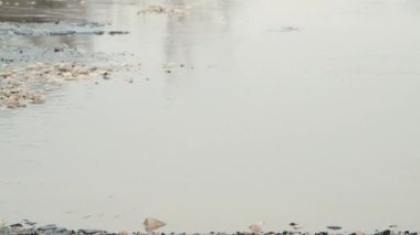 Asfalttaki su birikintileri ve çukurlar, sağanak yağmurdan sonra yol altyapısı zarar gördü.