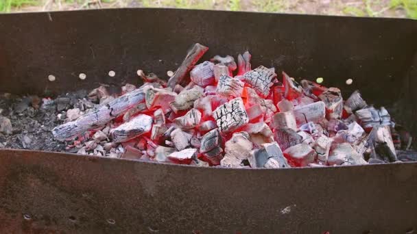 Las brasas rojas calientes se encienden en la parrilla para cocinar. — Vídeo de stock