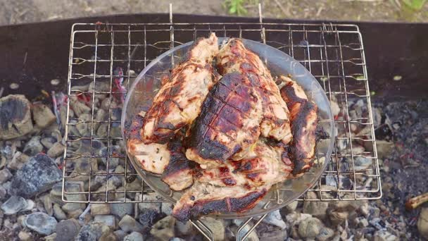 Appetitoso tagli alla griglia di carne su carboni ardenti in un piatto. — Video Stock