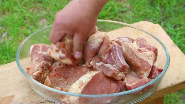 Eine Hand legt frisches Fleisch in ein Gericht mit Gewürzen. — Stockvideo