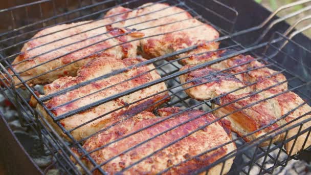 De gros morceaux de viande sont grillés sur des charbons chauds dans un porte-fil. — Video