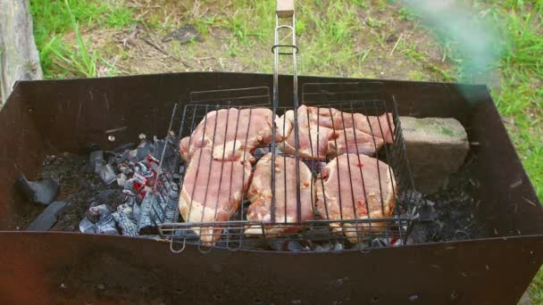 En man hade en brand i en grill, där kött steks på en tråd rack. — Stockvideo