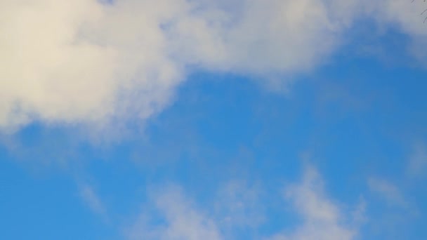 Witte snelle cumulus wolken tegen een blauwe lucht als de rook van een buis. — Stockvideo