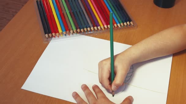 Kinderhände zeichnen mit einem Bleistift grüne Blätter auf den Stiel. — Stockvideo