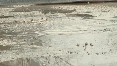 Asfalttaki çukurlar, yağmurdan sonra hasar gören yol altyapısı.