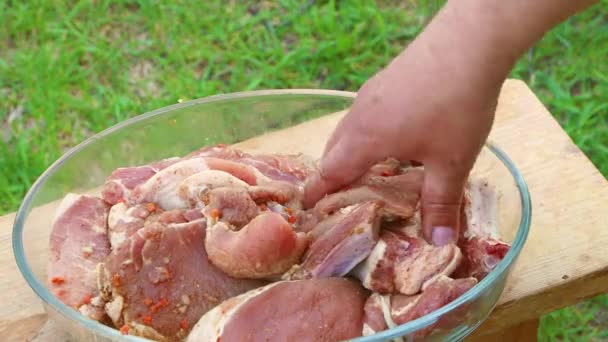 Uma mão de homem marina a carne fresca em um prato com temperos. — Vídeo de Stock