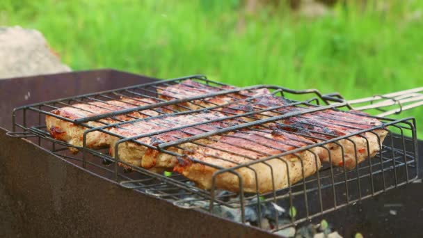 Grill z apetycznym mięsem leży na grillu, węgle palą. — Wideo stockowe