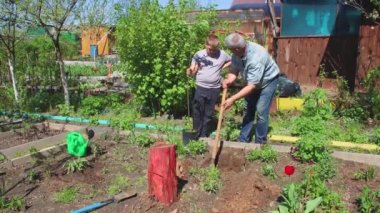 Baba kürekle delik açıyor, oğul ağaç fidanını tutuyor.