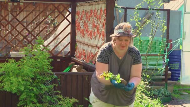 Kvinnan inte noggrant undersöka rosen sapling och skadar det. — Stockvideo