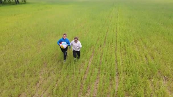 Gelukkig jongen en meisje lopen met een bal in het veld, slow motion — Stockvideo