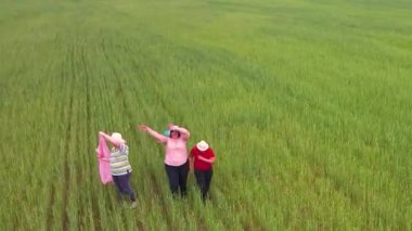 Mutlu aile açık yeşil alanda yürüyor.