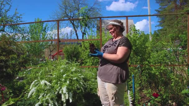 Žena v klobouku si prohlíží mladý stromek červené růže.. — Stock video