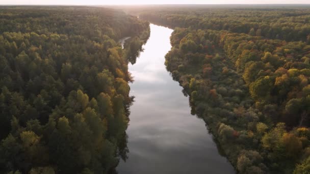 Slow flight over woodland and river at sunset. — Stock Video