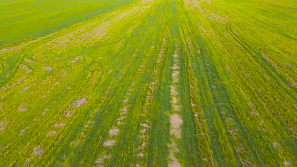 Bella vista aerea panoramica di piantagioni agricole, campi. — Video Stock