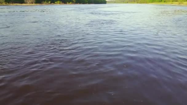 Rio largo close-up, horizonte de grama verde, floresta, vista aérea. — Vídeo de Stock