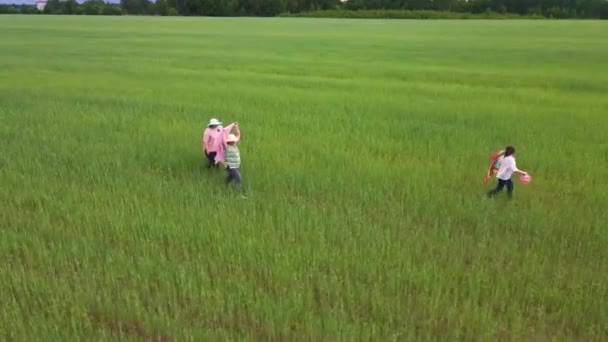 Feliz família caminhar e dançar juntos em um campo verde. — Vídeo de Stock