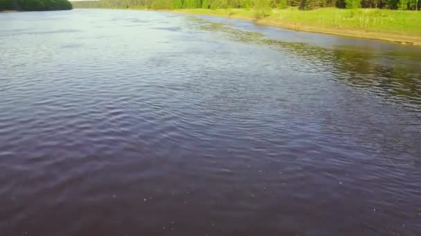 Geniş nehir yakınlaşması, kıyıda yeşil çimen, orman, hava manzarası.. — Stok video