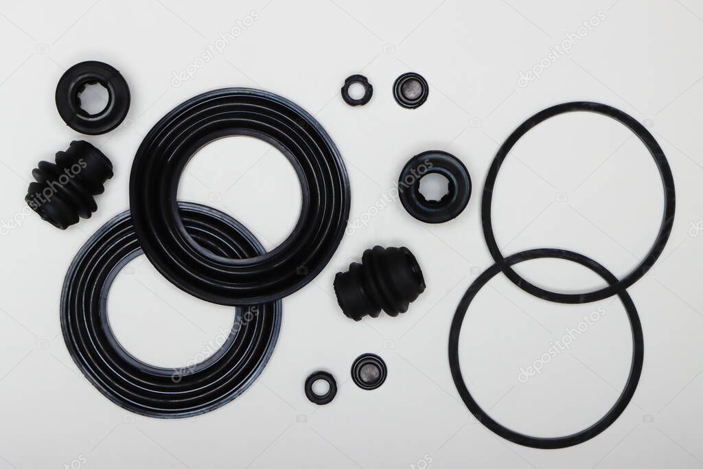 Caliper repair kit, rubber gaskets, oil seals, seals.