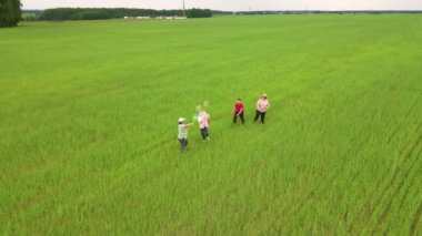 Anneler yeşil alana baloncuk üfler, çocuklar onları yakalar..