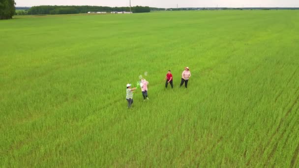 Las madres soplan burbujas en un campo verde, los niños los atrapan. — Vídeos de Stock