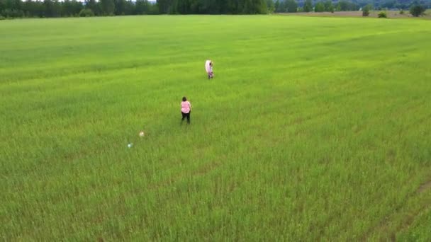 Młode kobiety radośnie chodzą po zielonym polu we dwoje. — Wideo stockowe