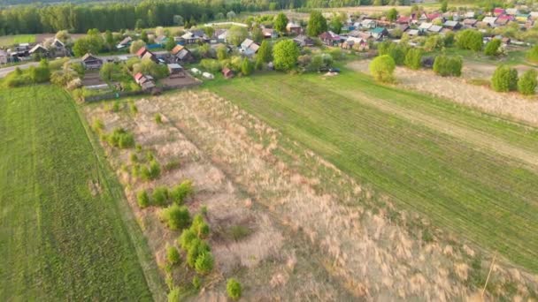 Vista aerea panoramica del villaggio, campi, strada, piantagioni agricole. — Video Stock