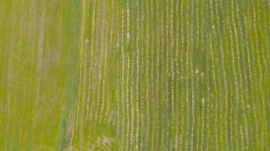 Alandaki soyut doğrusal desen üzerindeki bir dronun güzel panoramik görüntüsü