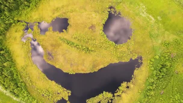 Una cara con una sonrisa feliz en forma de lago, una vista de pájaro — Vídeo de stock