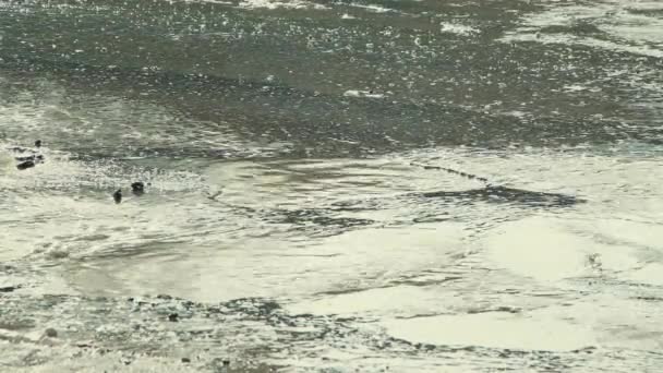 Grandes baches después de la lluvia, infraestructura vial dañada. — Vídeos de Stock