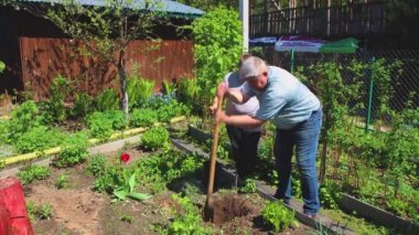 Oğlan elinde küçük bir tohum tutuyor, babası çukur kazıyor.