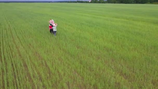 Una familia feliz está corriendo amistosa y alegremente en un campo verde. — Vídeos de Stock