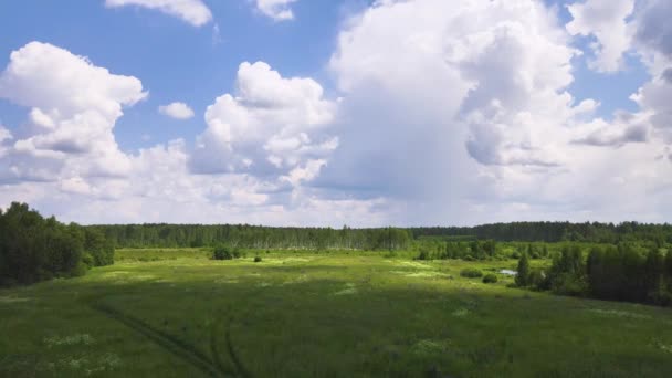 Krásné bílé mraky na modré obloze nad zeleným polem. — Stock video