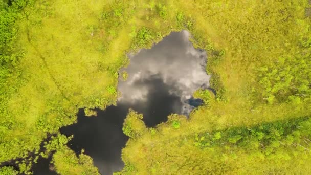 Schöner tiefer Karstsee, der Himmel spiegelt sich im Wasser. — Stockvideo