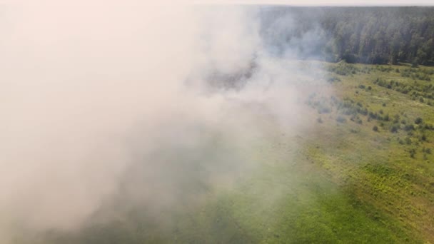 Puffs de fumaça e fogo espalhados por um grande campo. — Vídeo de Stock