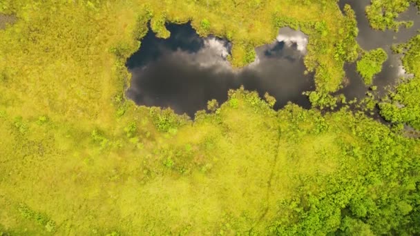 美しいカルスト湖は、空の水に反映されます. — ストック動画